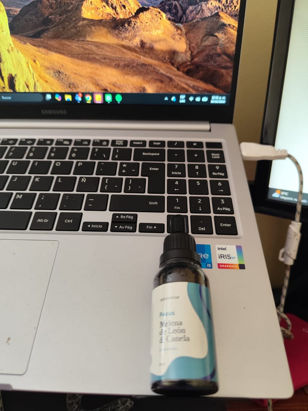 Customer photo review of Focus | Extracto de Melena de León