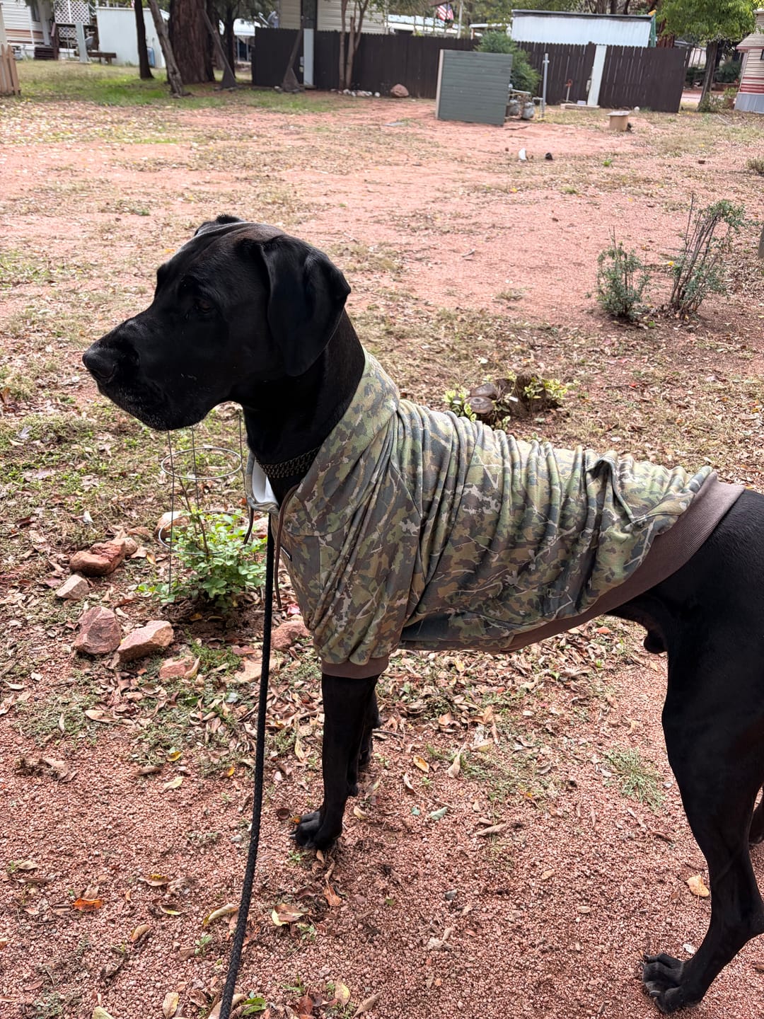 Customer photo review of Camo Dog Hoodies