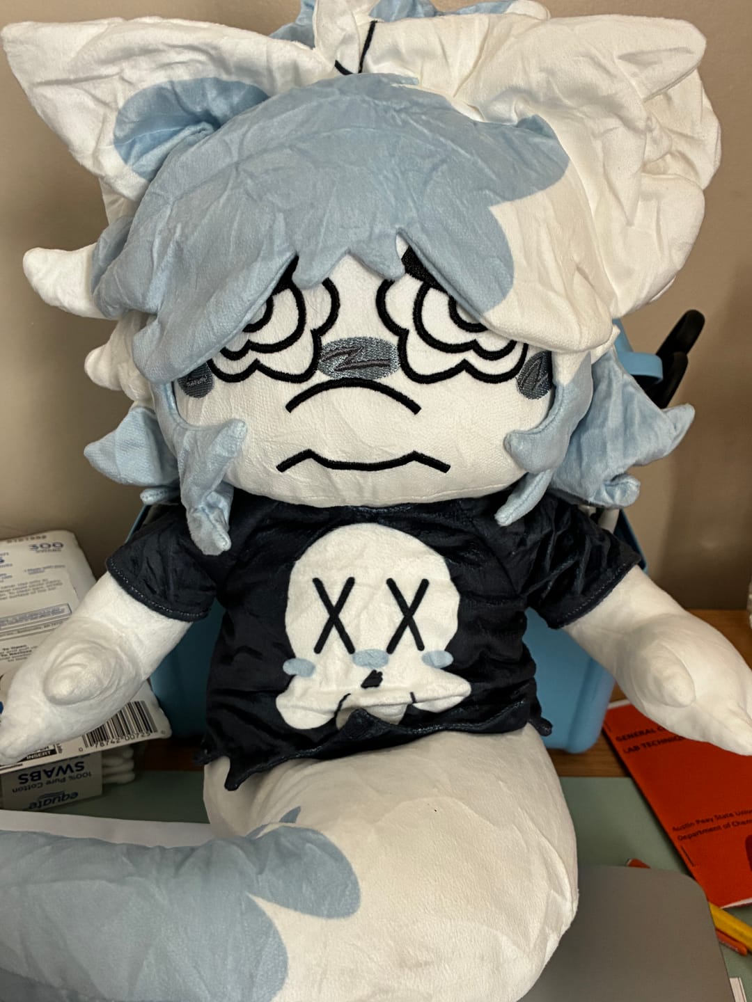 Customer photo review of Original Character (OC) Design Plush