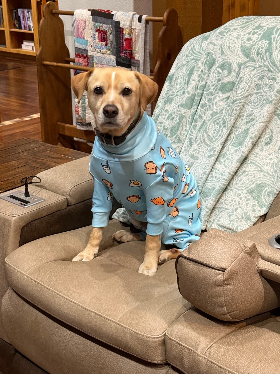Customer photo review of Dog Pajama Prints