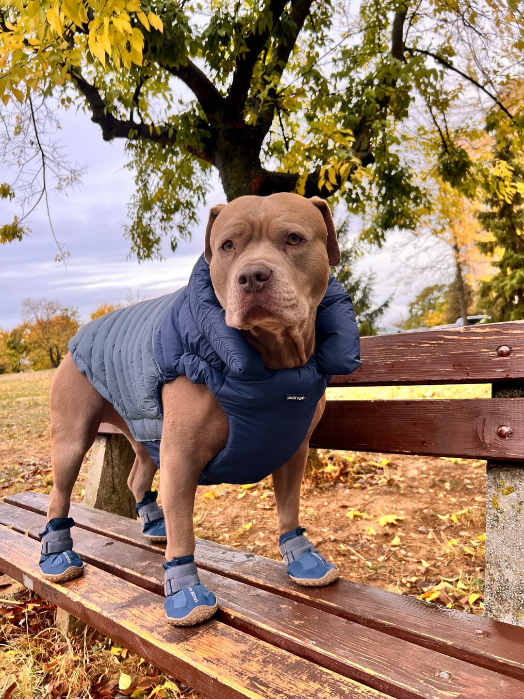 Customer photo review of PuffShield Winter Jacket - Blue (2)