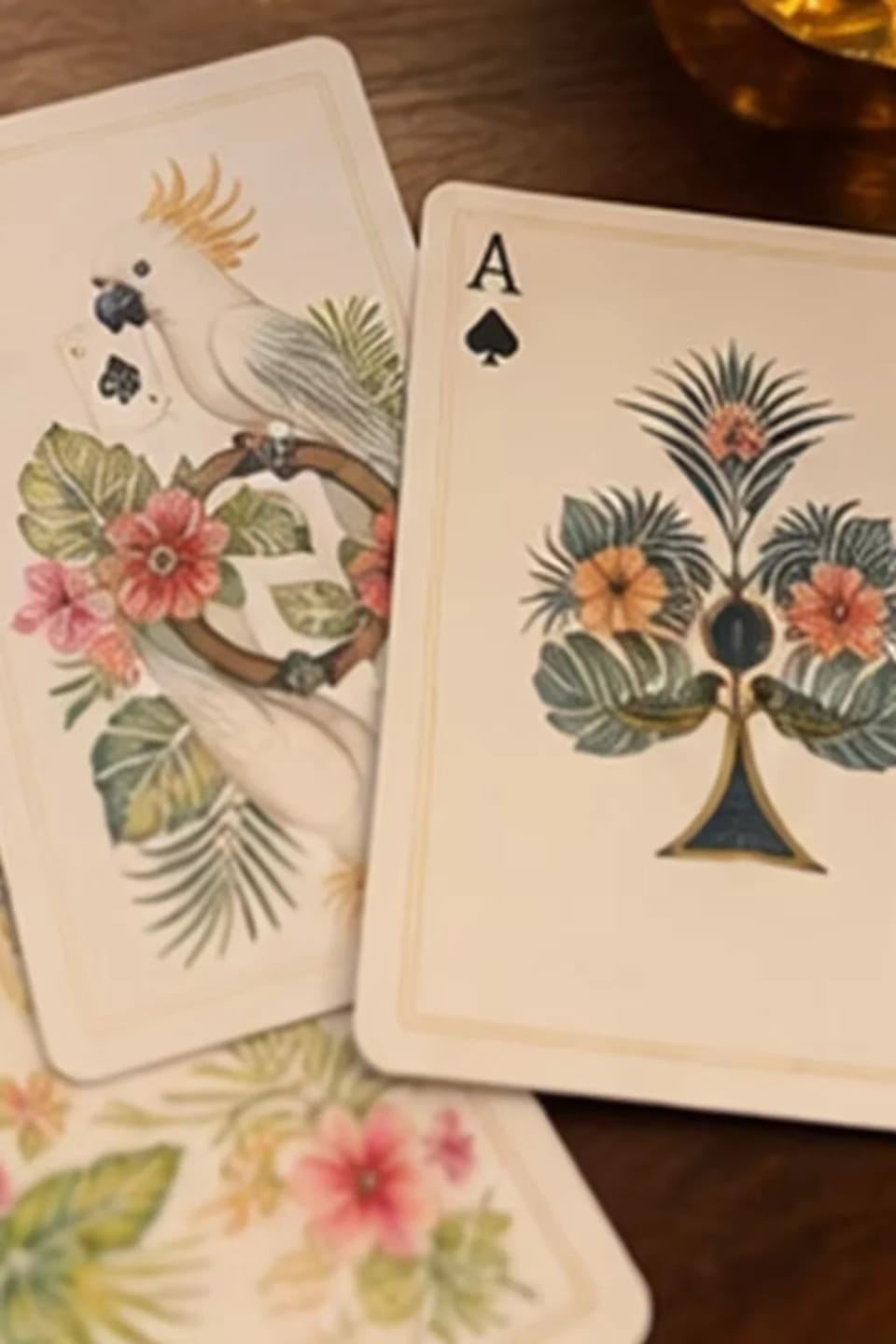 Customer photo review of Palm Garden Double-Deck Playing Card Set