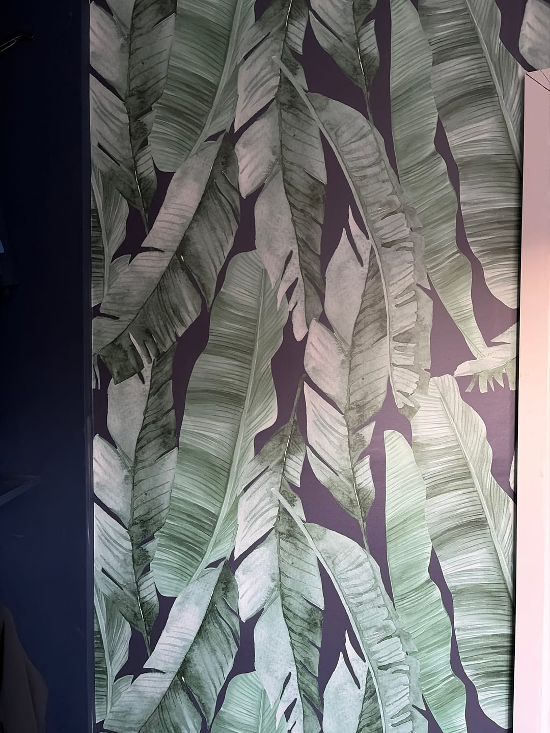 Customer photo review of Fusie - Green Banana Leaf Tropical Wallpaper