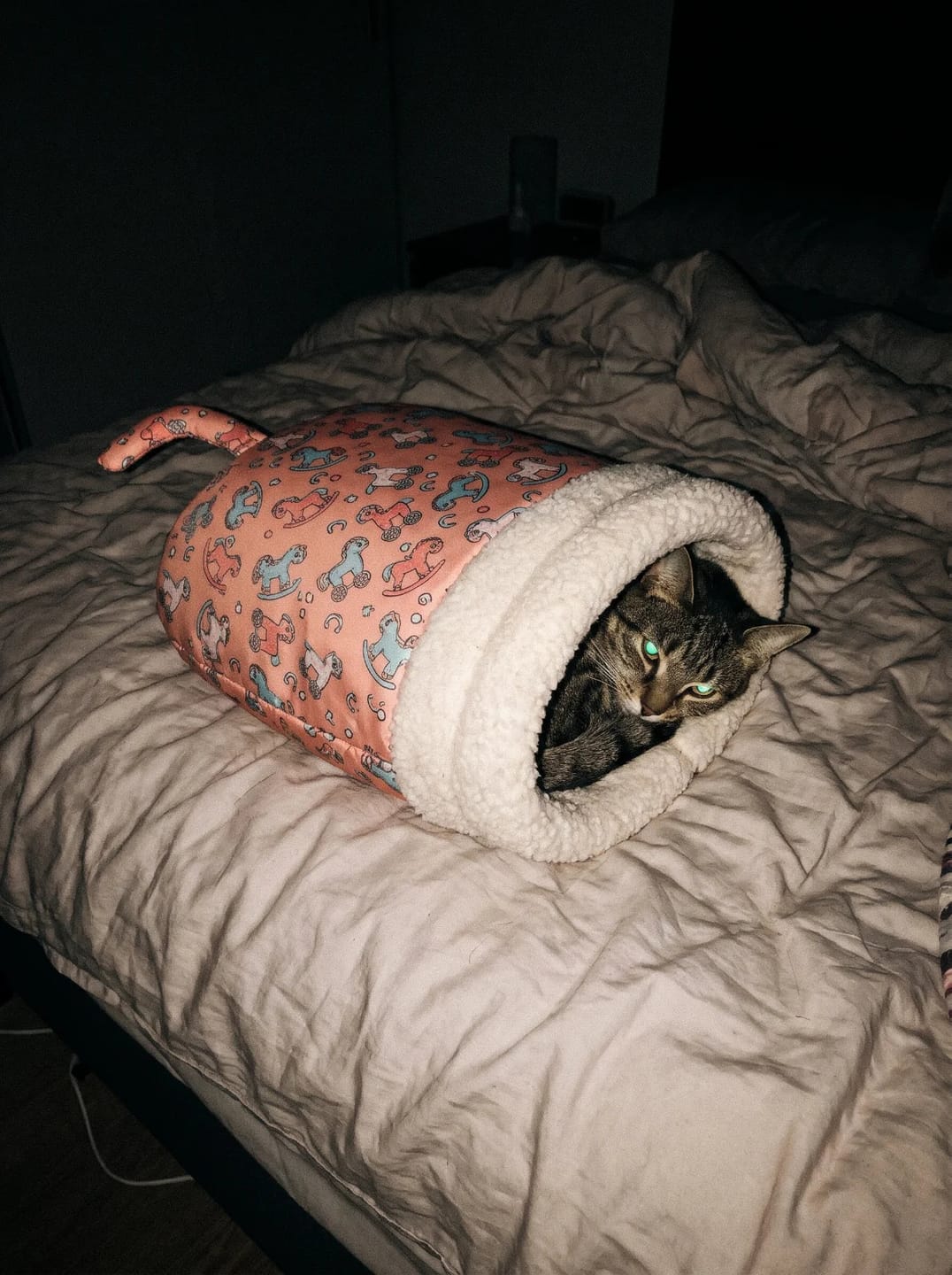Customer photo review of CozyNido™ · El saco calentito para gatos