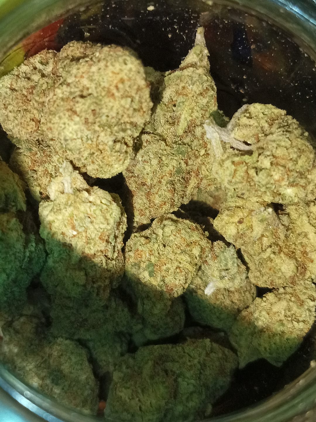 Customer photo review of THCA Flower Budget Buds