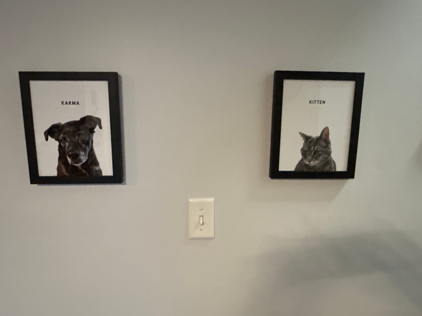 Customer photo review of Custom One Pet Portrait