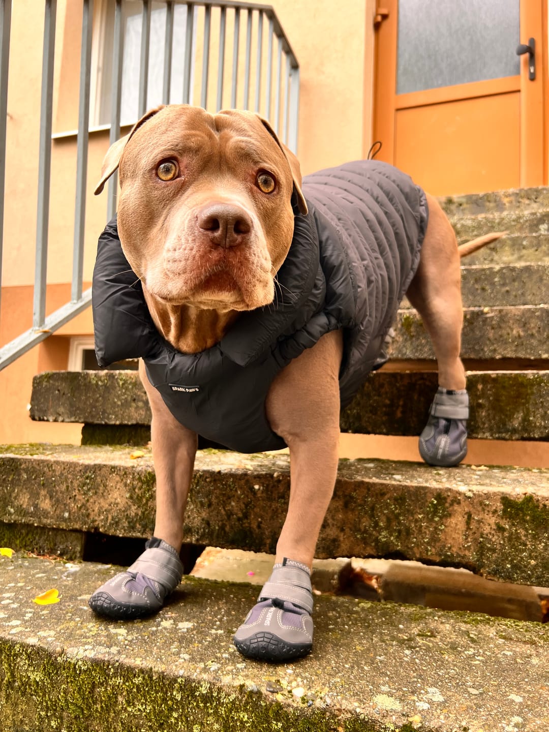 Customer photo review of PuffShield Winter Jacket - Black (2)