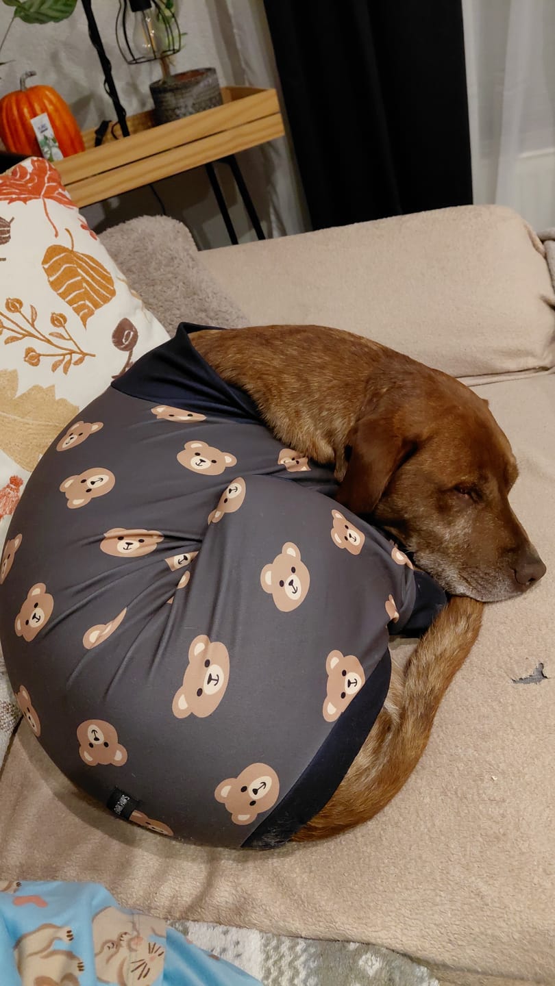Customer photo review of Dog Pajama - Bear Black