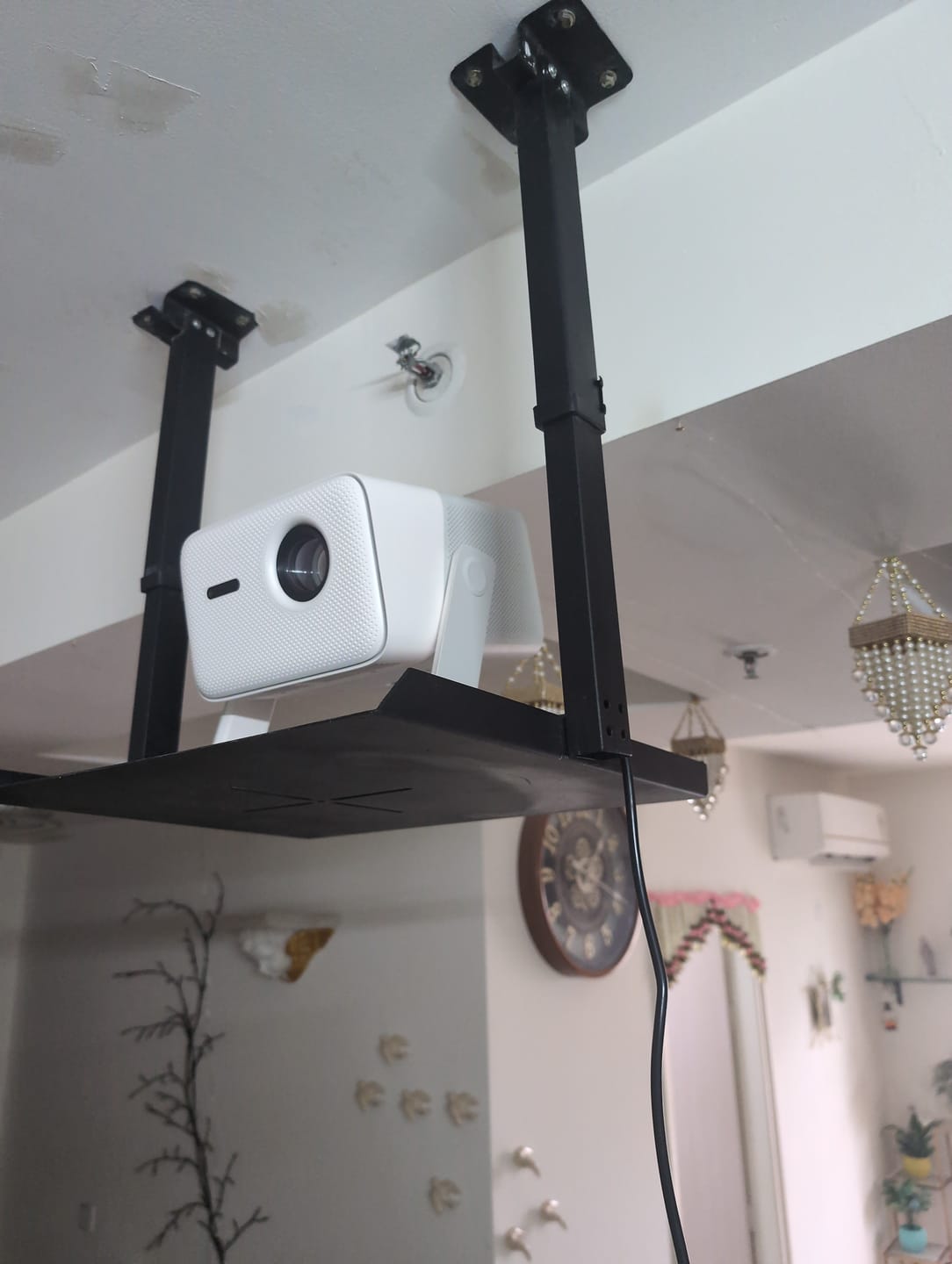 Customer photo review of LumeX Vista