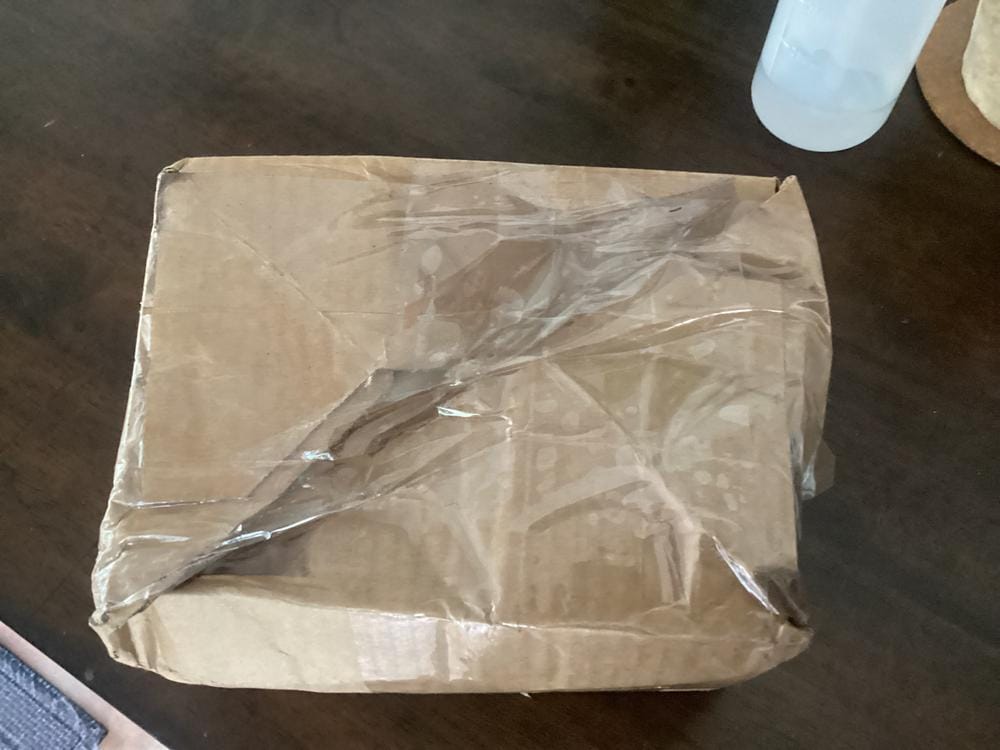 Customer photo review of Dahlia Tubers (Dinnerplate) - Penhill Watermelon