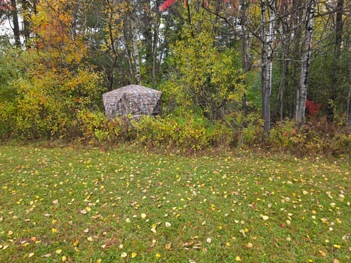 Customer photo review of VisTall 360 See-Through Ground Blind | 75-Inch 3 Person Pop Up Deer Blind with No-Trip Door | Portable Camo Hunting Blind with Blackout Curtain for Whitetail Deer Hunting