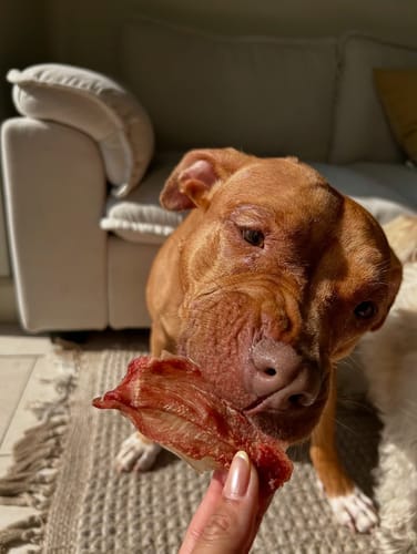 Customer photo review of Jungle Calling Dog Treats Variety Pack, Triple Flavor Rolls, Multi-Flavor Kabobs & Duck Wrapped Cartilage Bones, 3-Item Bundle