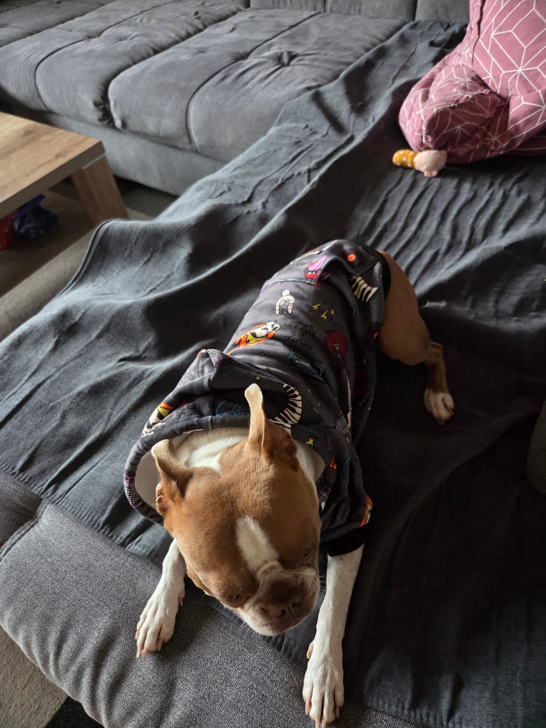 Customer photo review of Rock and Roll Dog Hoodie