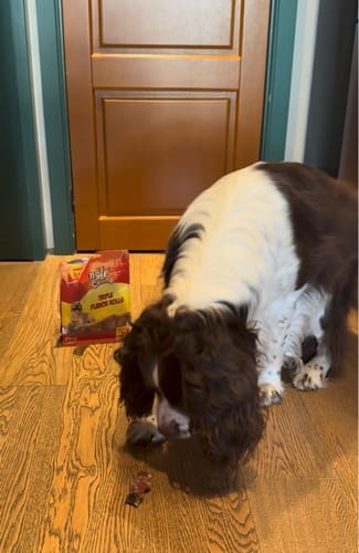 Customer photo review of Jungle Calling Dog Treats Variety Pack, Triple Flavor Rolls, Multi-Flavor Kabobs & Duck Wrapped Cartilage Bones, 3-Item Bundle