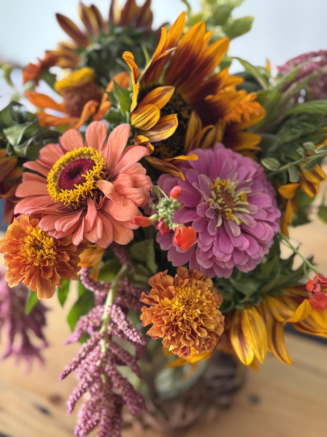 Customer photo review of Zinnia Seeds - Pumila / Cut & Come Again Mix