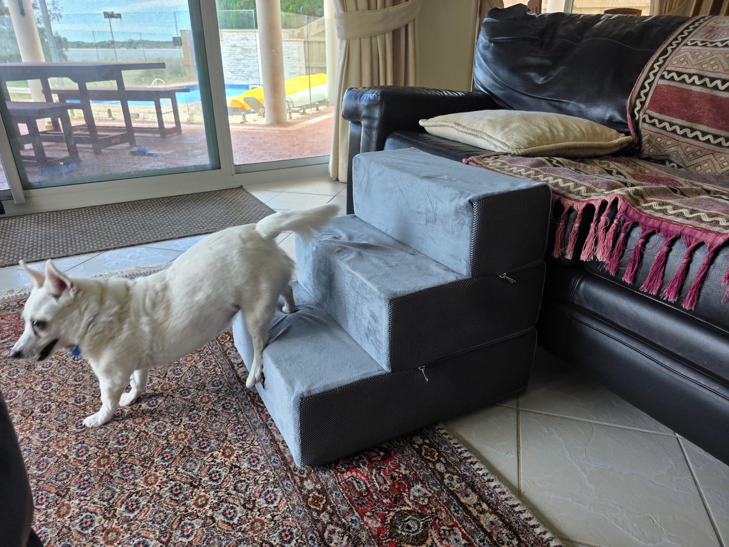 Customer photo review of Detachable Pet Foam Stairs