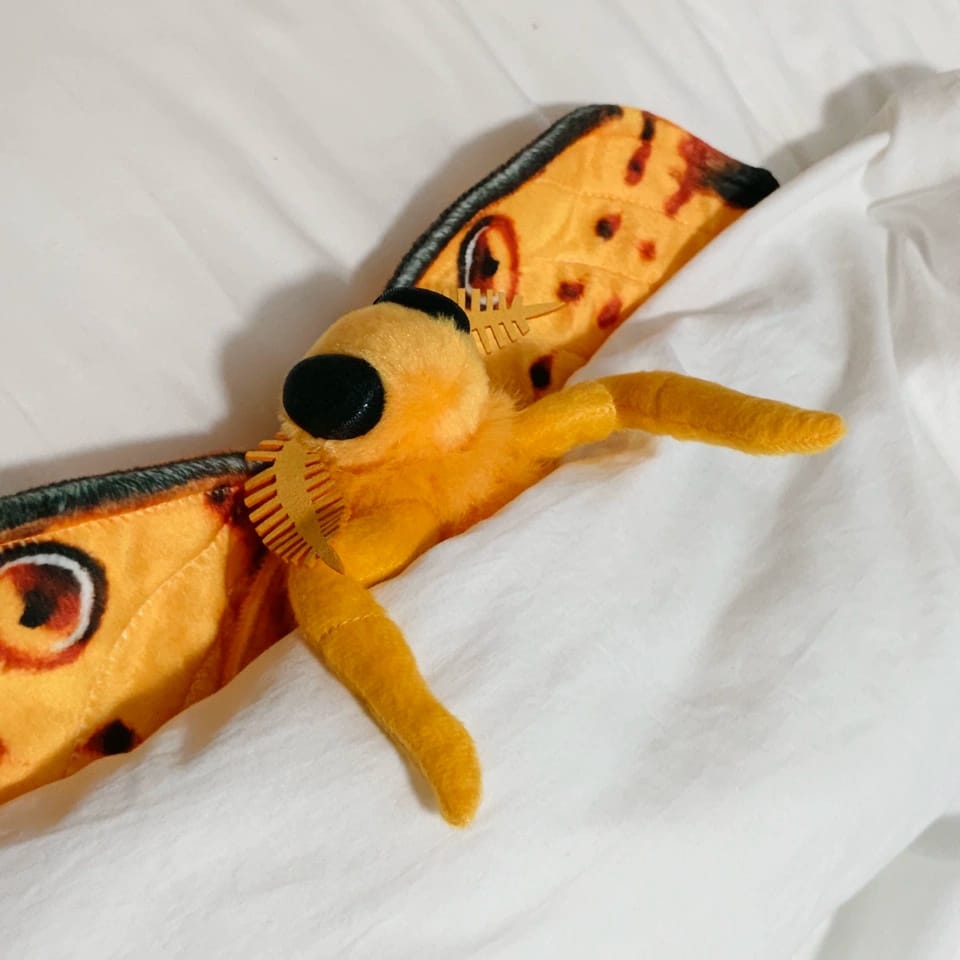 Customer photo review of Comet Moth Plush – Lifelike, Soft, and Perfect for Insect Enthusiasts