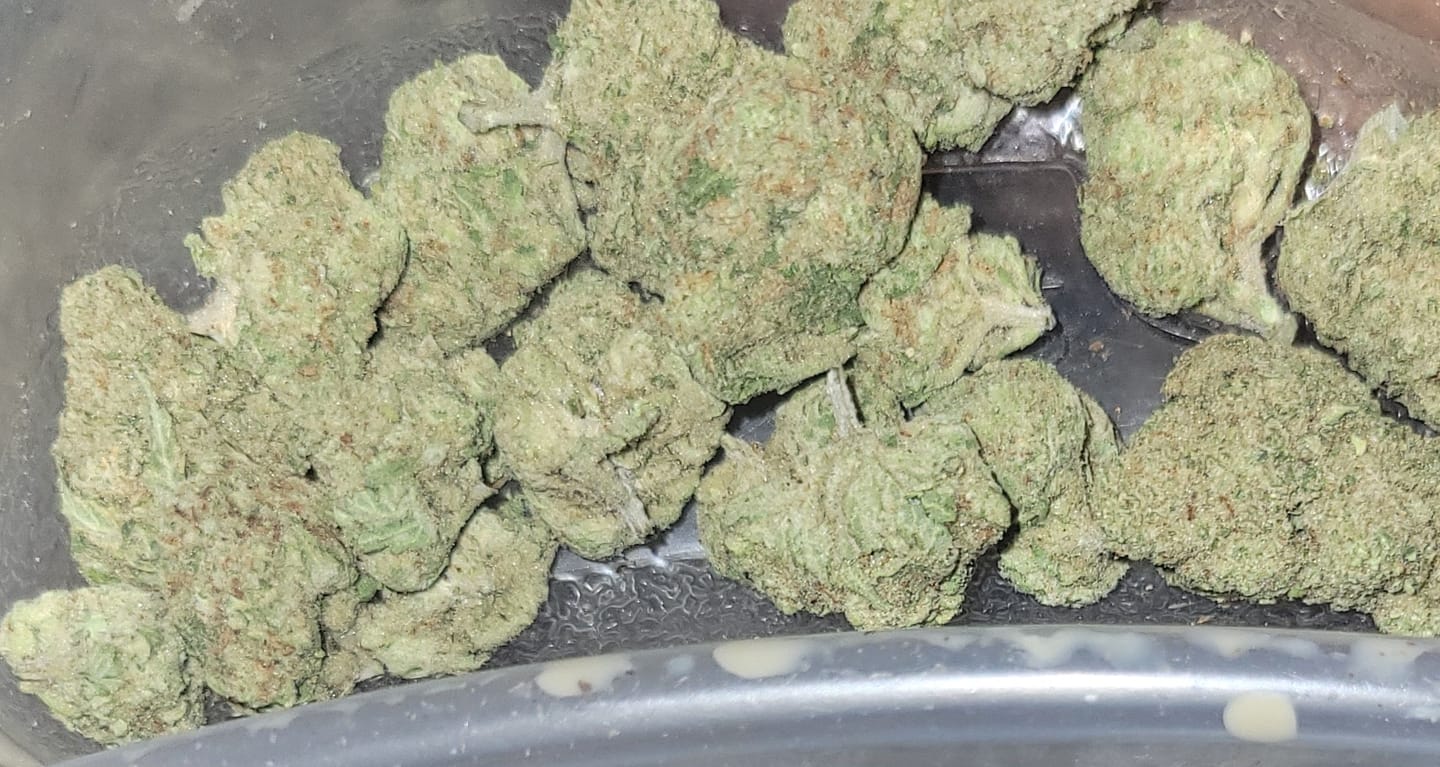 Customer photo review of Strawberry Cough THCA Flower