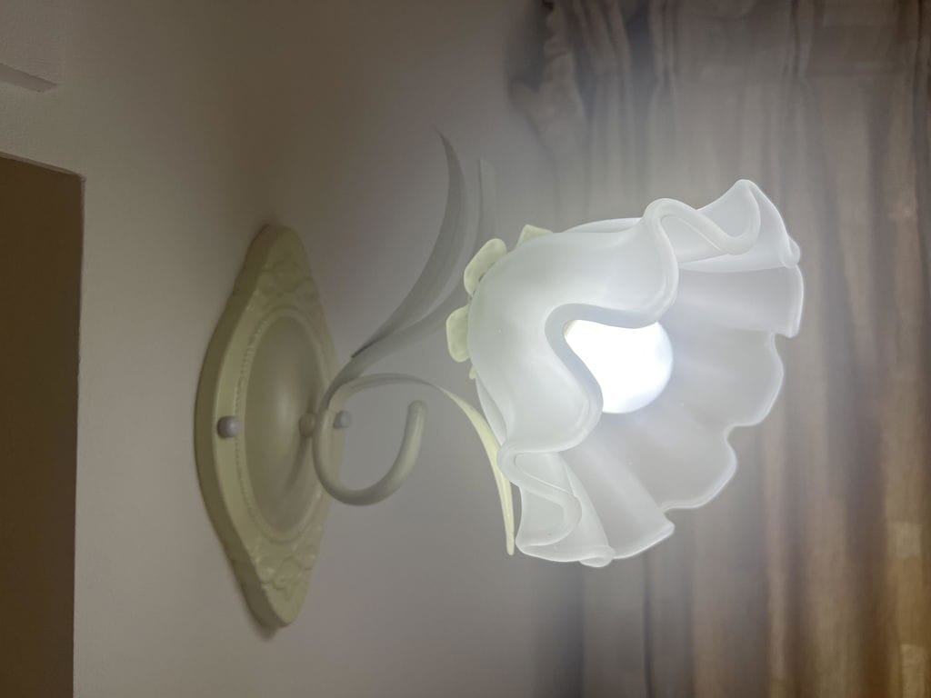Customer photo review of Glass Flower Wall Light, Iron Backplate, Wall Sconce