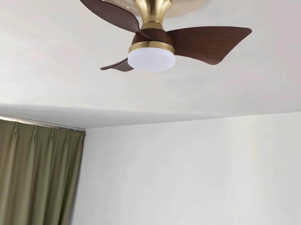 Customer photo review of Ceiling Fan with Light, 55 cm, 6 Speed Remote, Integrated LED