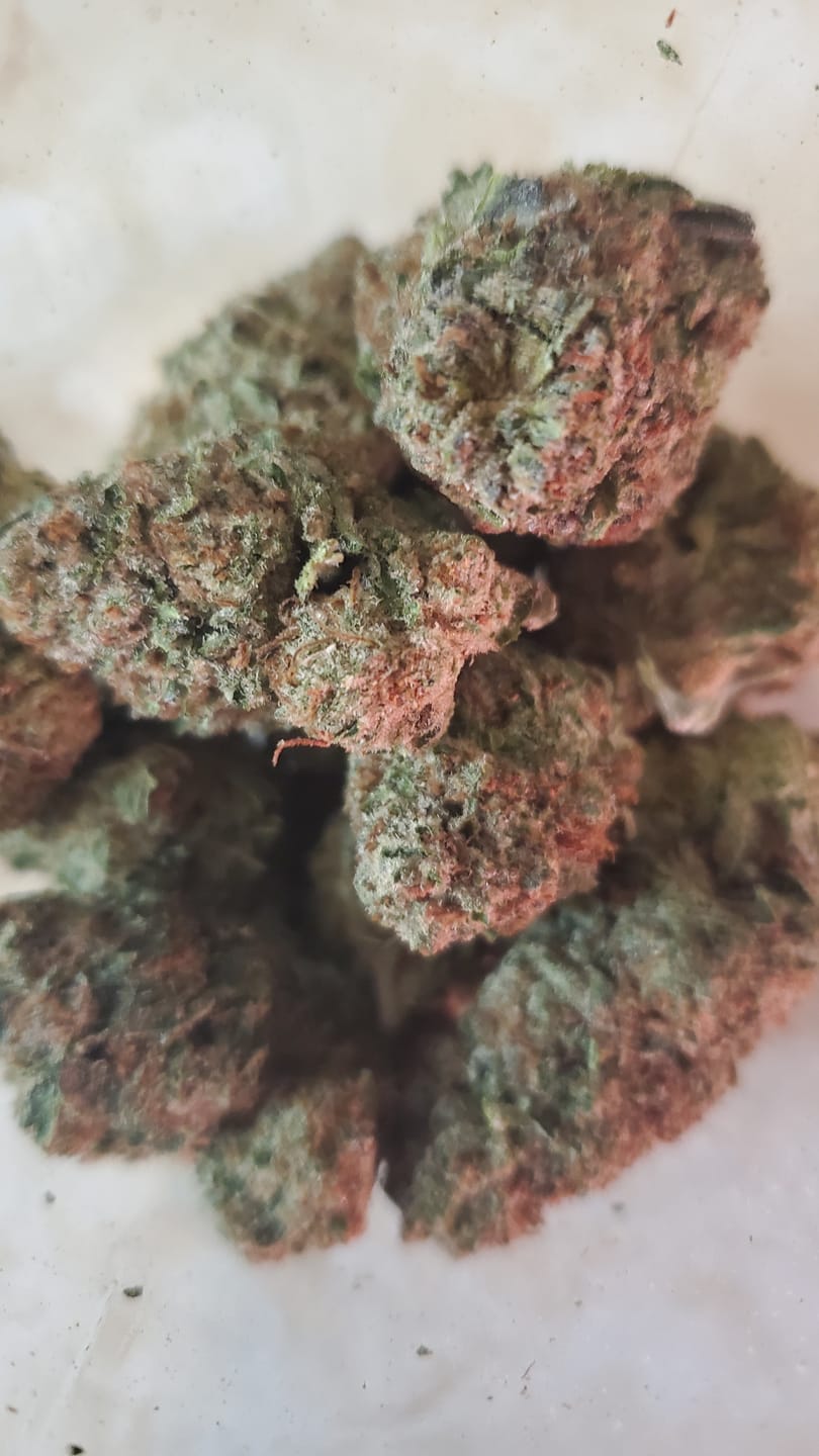 Customer photo review of Orange Dream THCA Flower