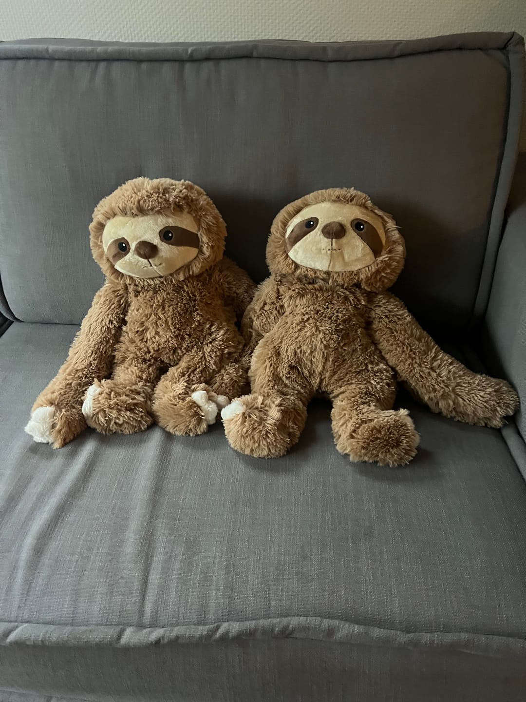 Customer photo review of Lotgenootje Luiaard 2,5kg