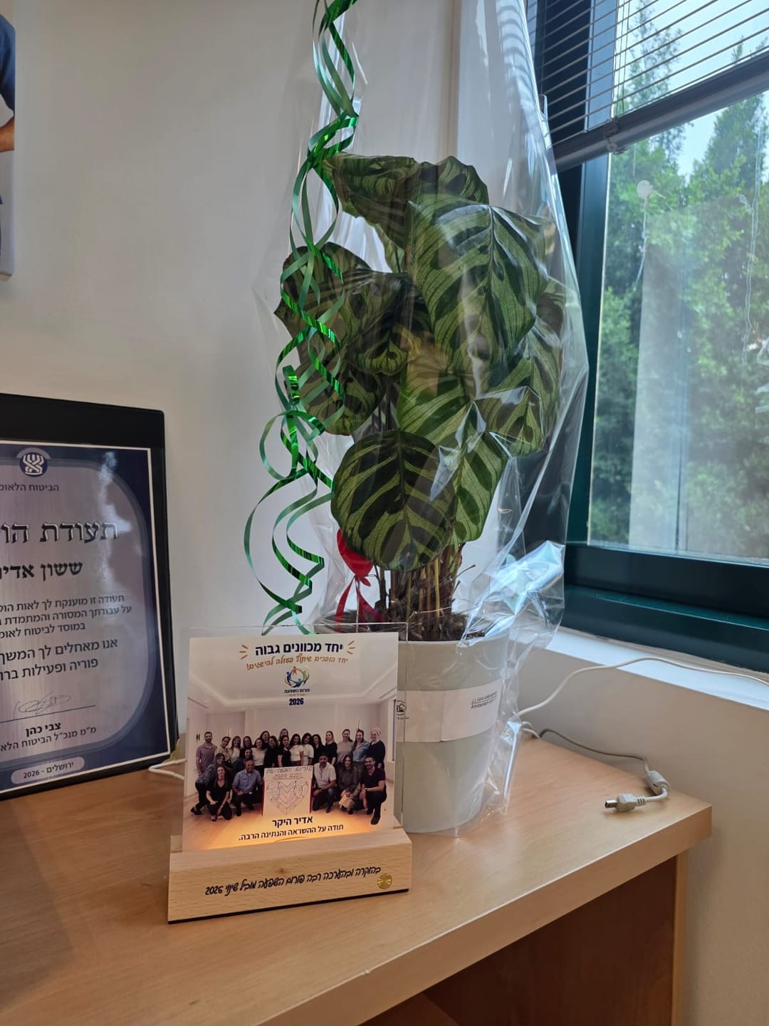 Customer photo review of מנורת לילה בעיצוב אישי – הרגעים היפים | תמונות על אקריליק