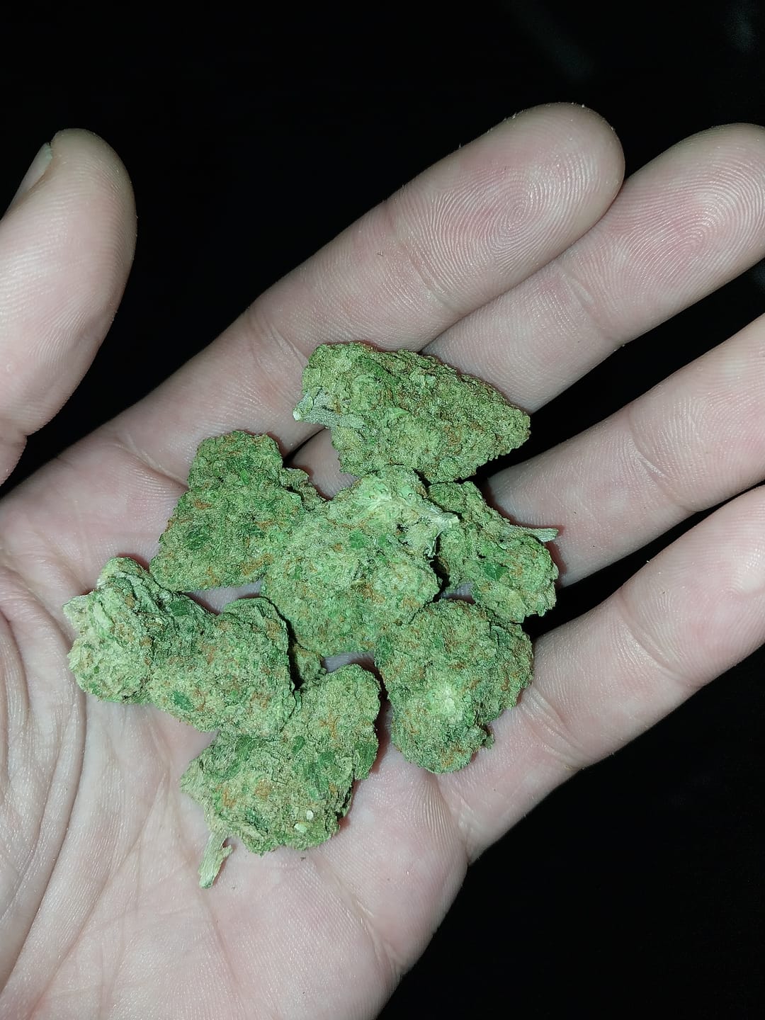 Customer photo review of Blue Gelato THCA Flower
