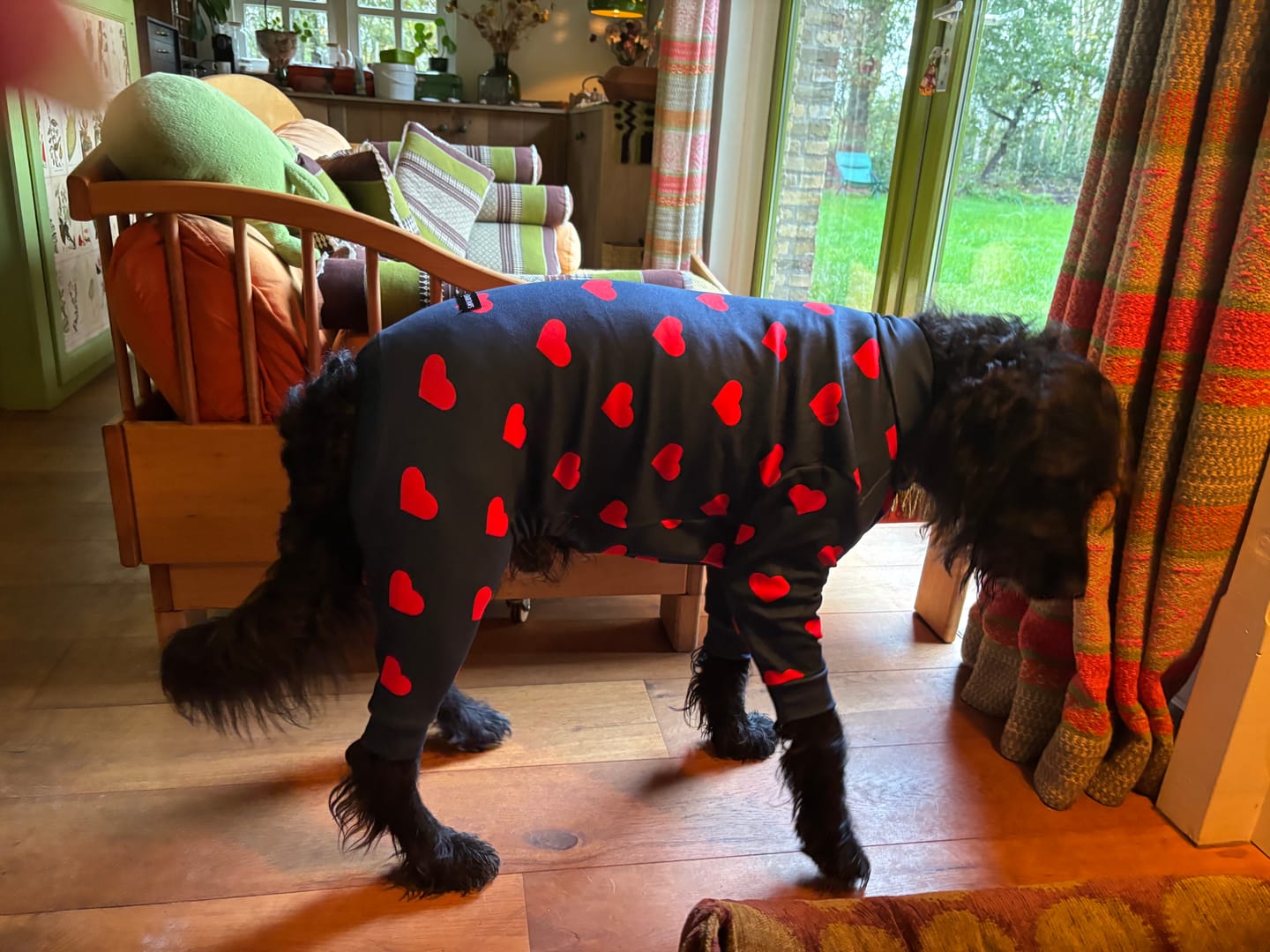 Customer photo review of Dog Pajama Prints