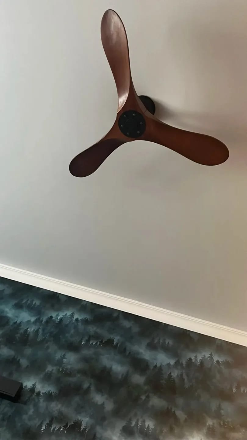 Customer photo review of Wooden Ceiling Fan with Remote, 3 Blades, DC Motor, 132–152 cm