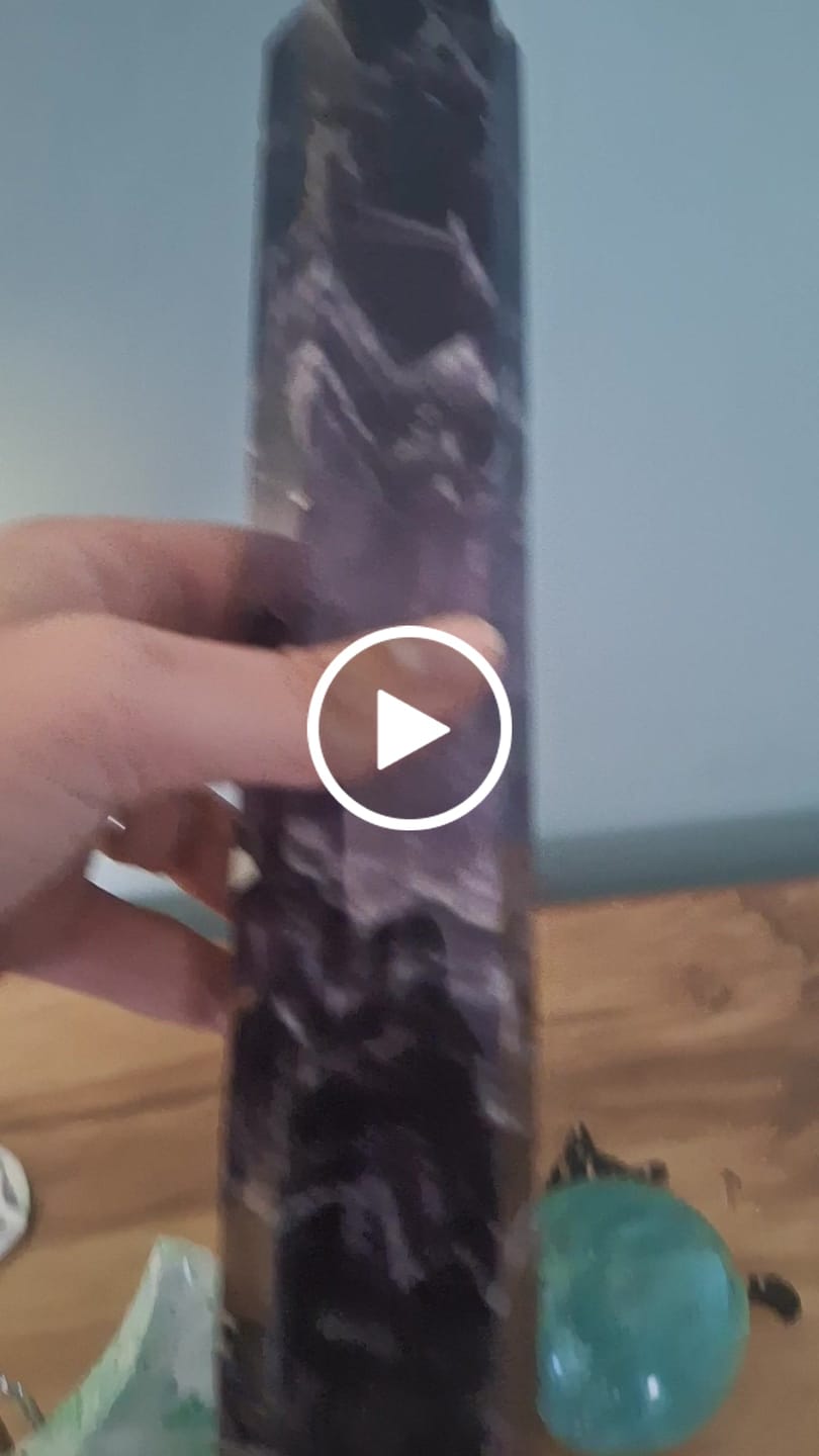 Customer video review of Ultimate Bargain Scoop