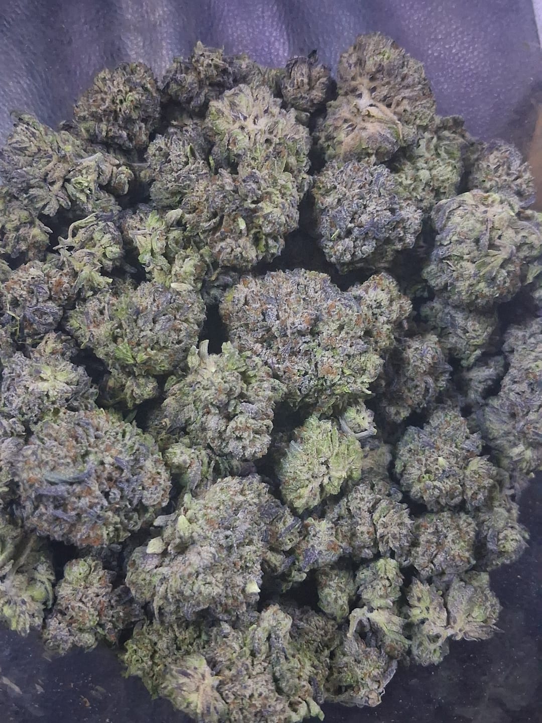 Customer photo review of Hyper Za THCA Flower