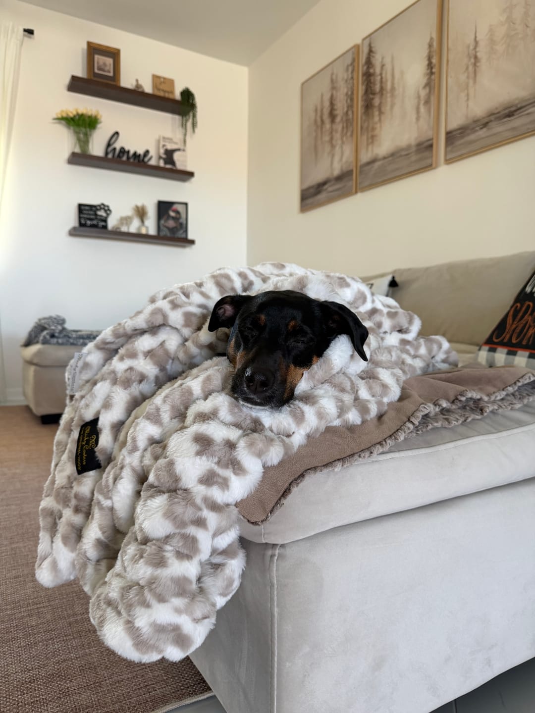 Customer photo review of Original Hugs Snow Leopard Blanket