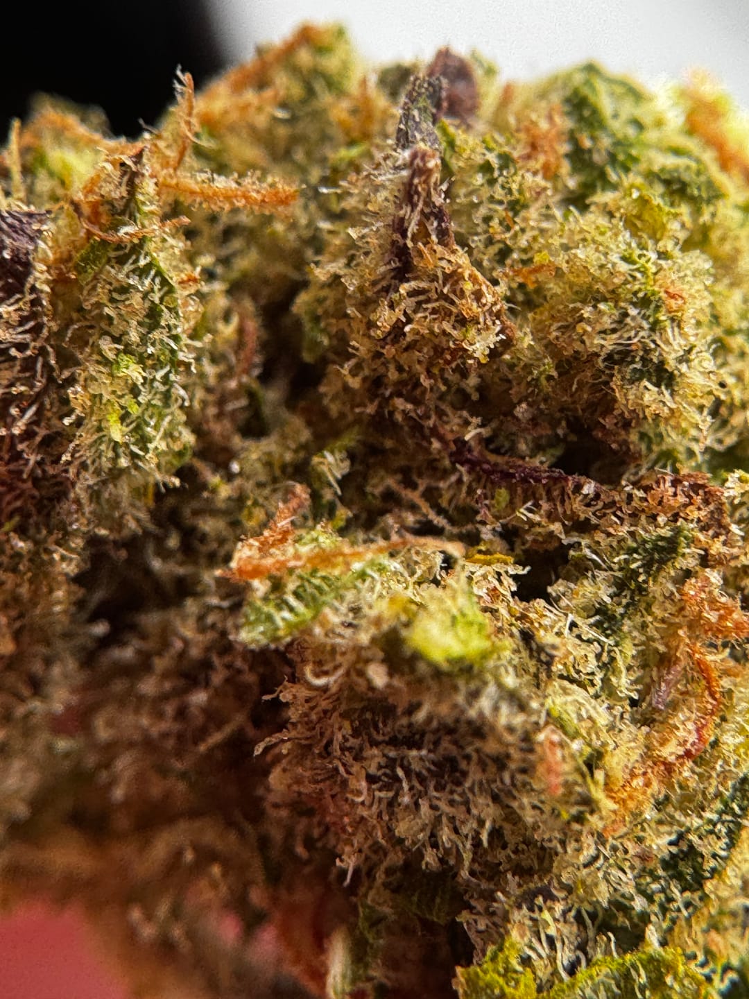 Customer photo review of THCA Queen