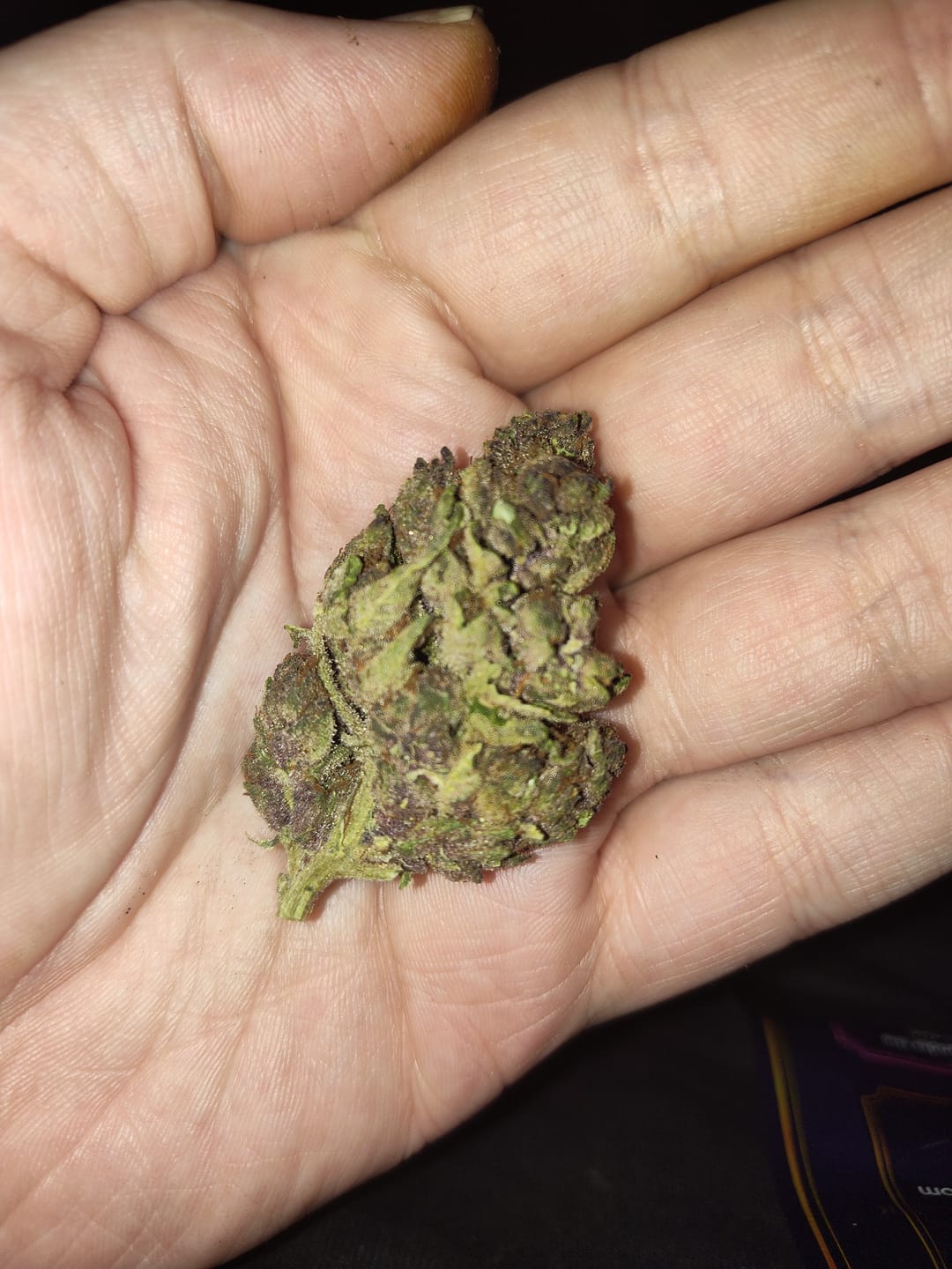 Customer photo review of Tropicana Cherry THCA Flower