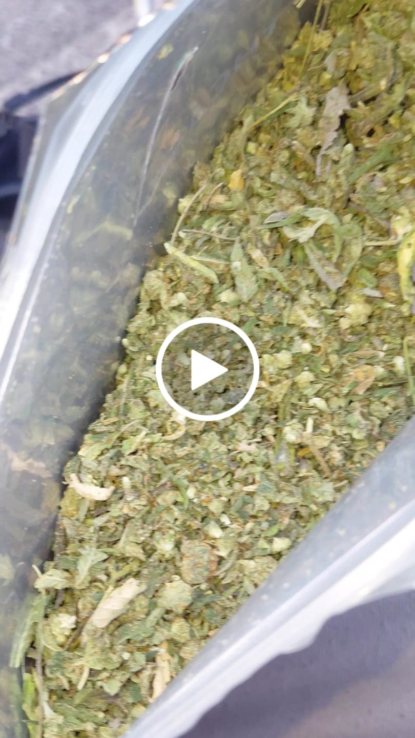 Customer video review of Cheap THCA Flower Trim