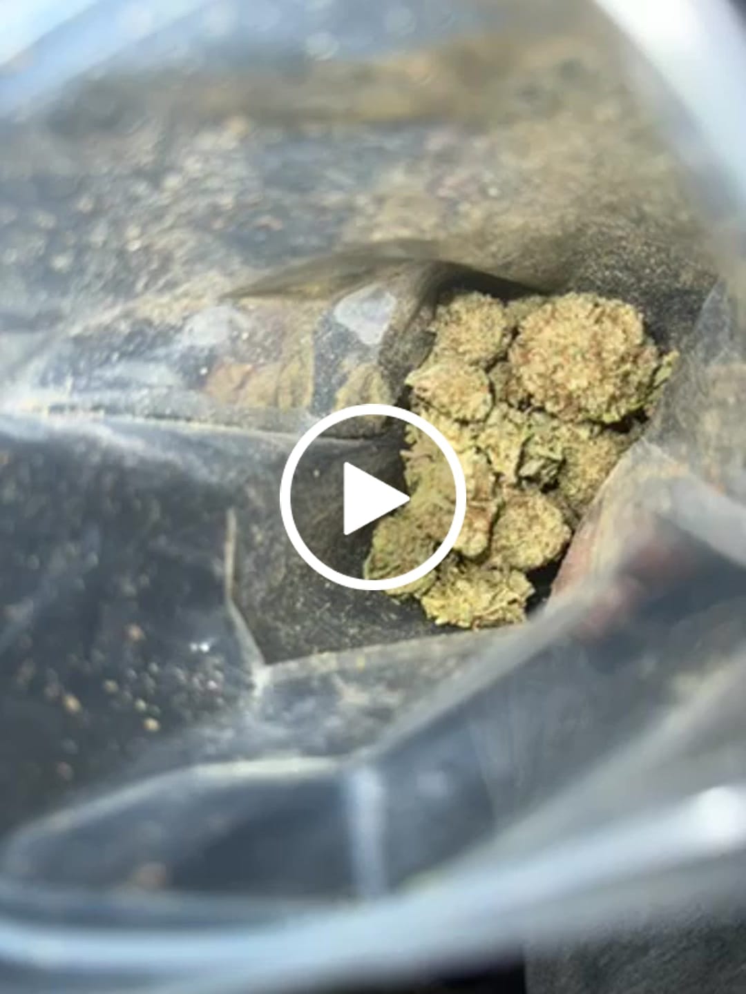 Customer video review of Thai Stick Flower 14G (BOGO)