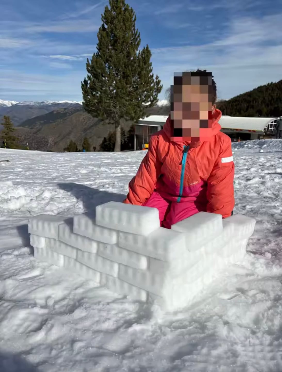 Customer photo review of Snow Brick Maker