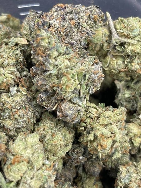 Customer photo review of Runtz THCA Flower (Budget)