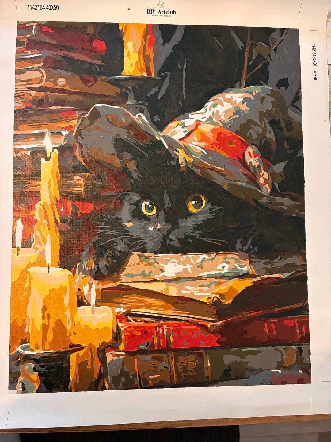 Customer photo review of Spells keeper | Paint by Number