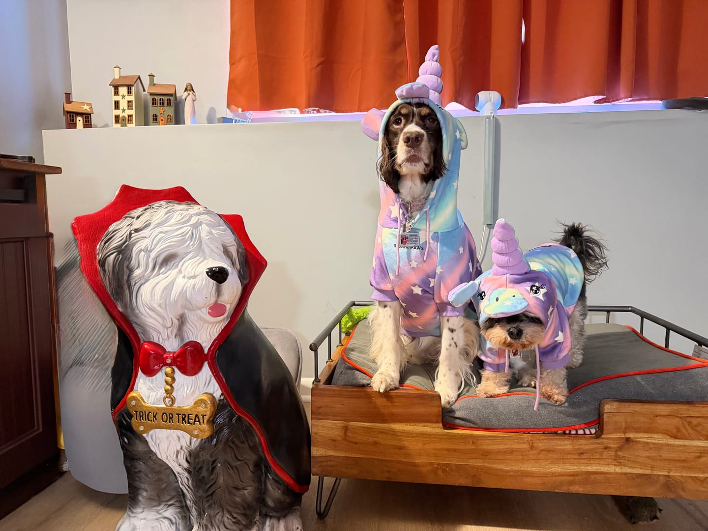 Customer photo review of Halloween Dog Hoodie - Unicorn