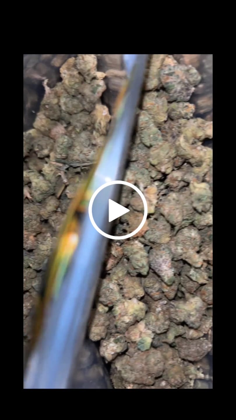 Customer video review of Cheap THCA Smalls Ounce