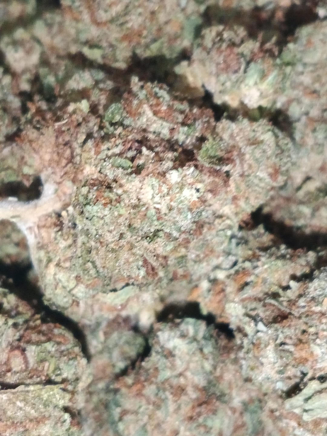 Customer photo review of Cheap THCA Smalls Pound