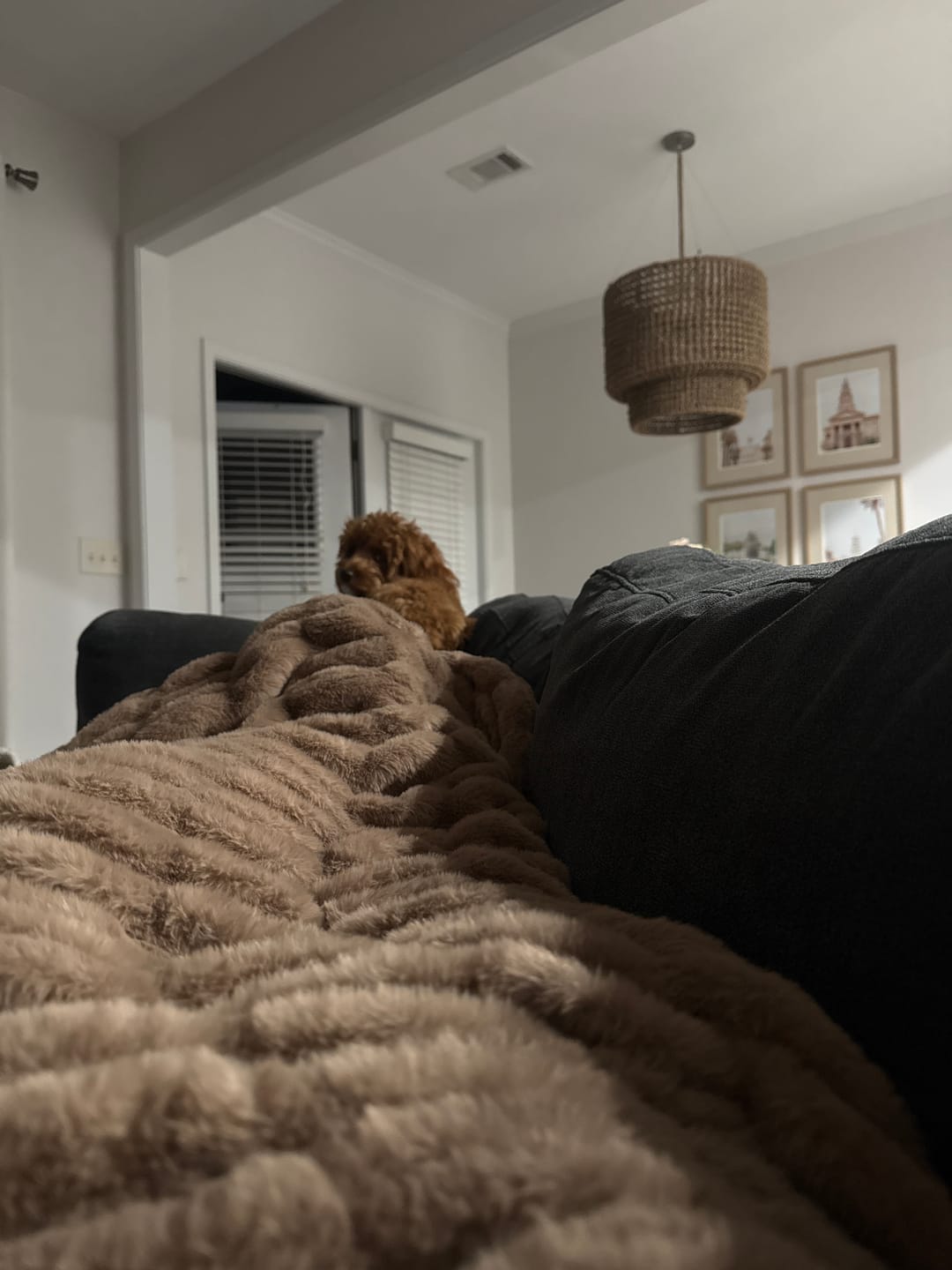 Customer photo review of Hugs Milk Chocolate Blanket