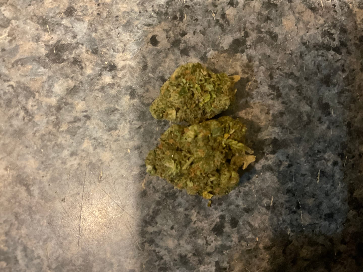 Customer photo review of Lemon Gorilla Glue THCA Flower