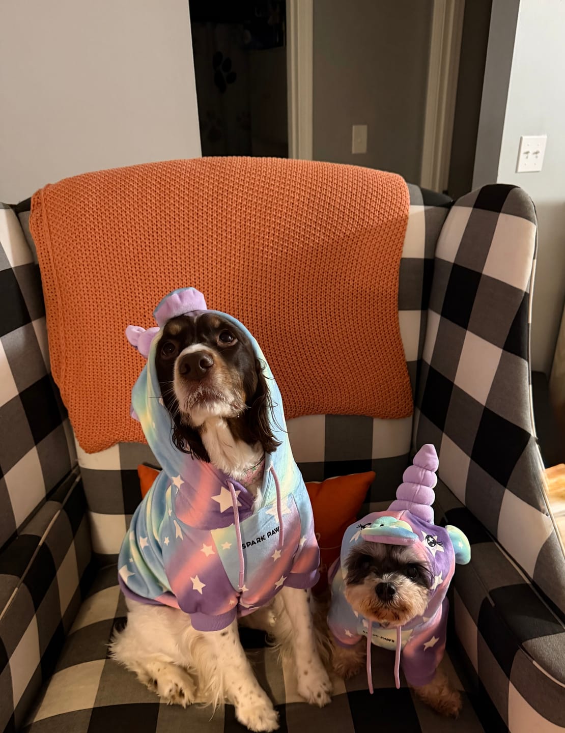 Customer photo review of Halloween Dog Hoodie - Unicorn