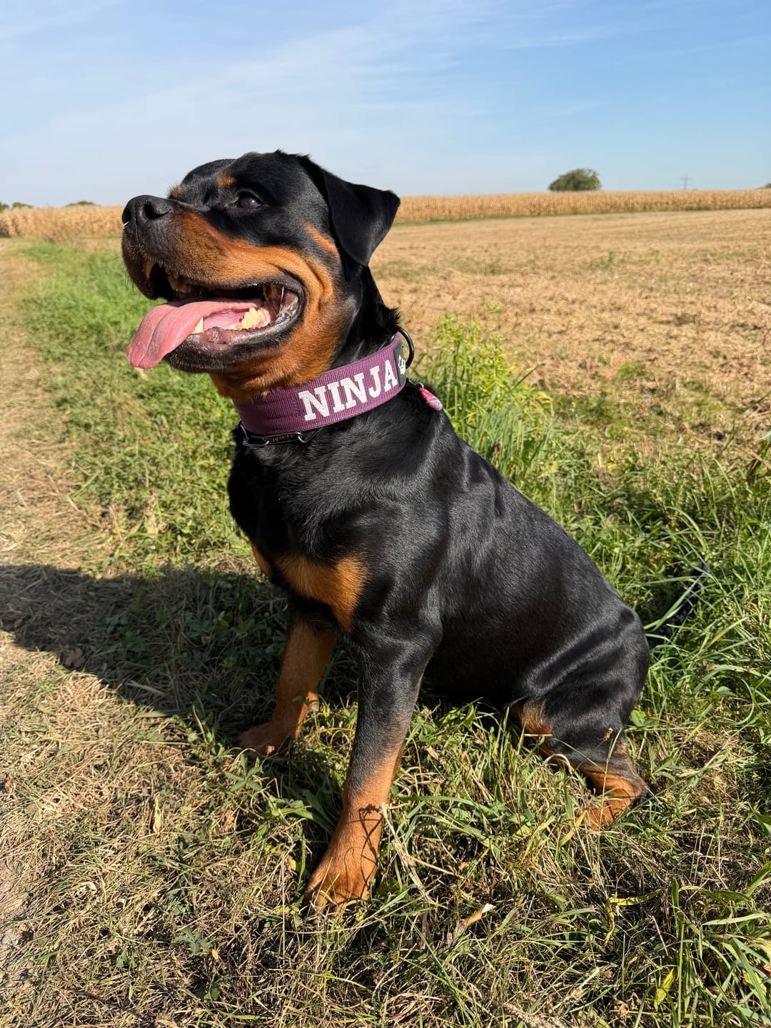 Customer photo review of Extreme Buckle med namn