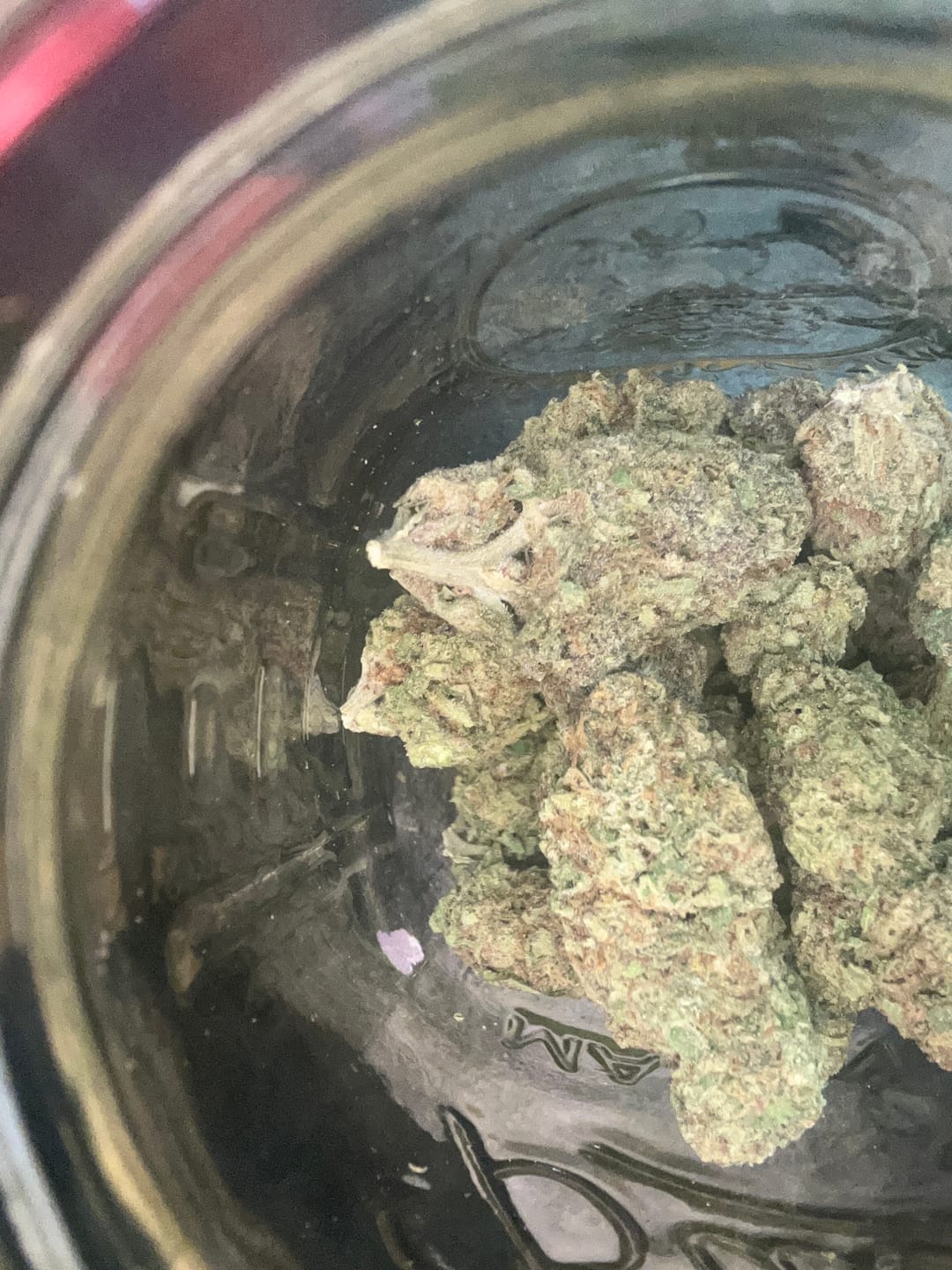 Customer photo review of Gorilla Glue THCA Flower