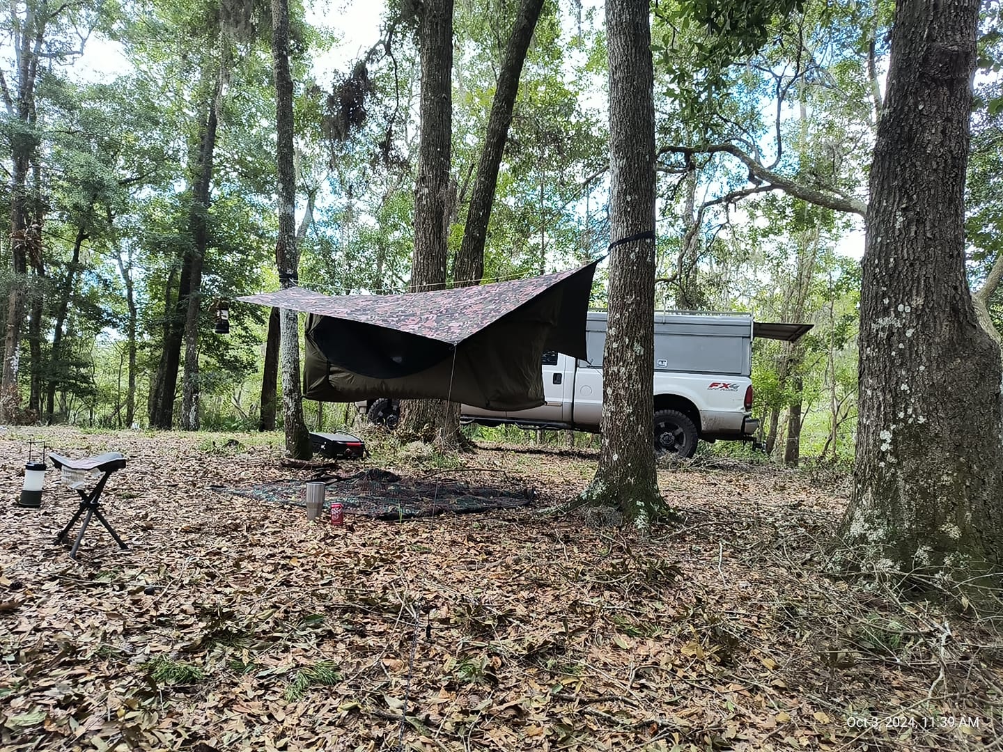 Customer photo review of Haven Safari