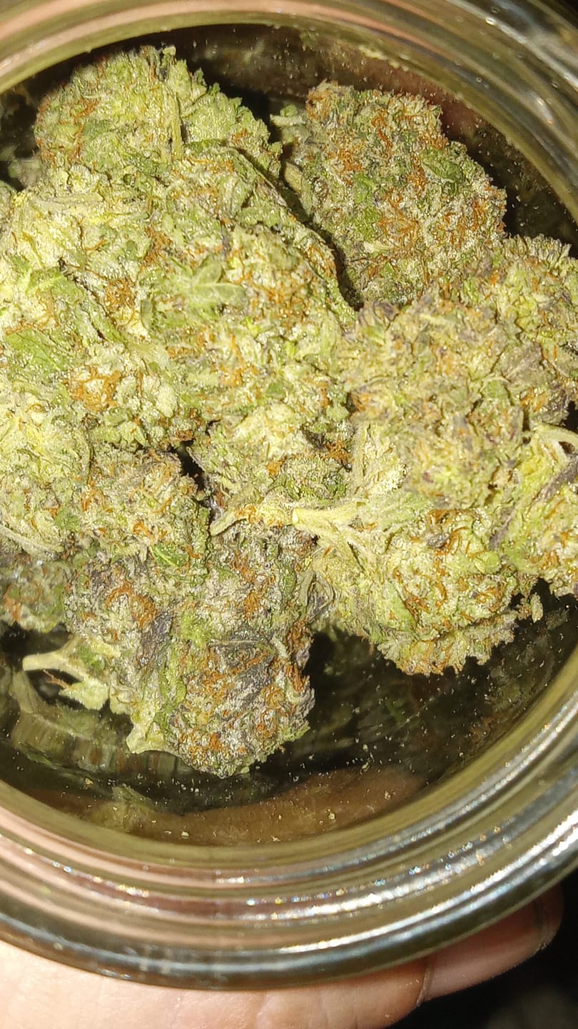 Customer photo review of THCA Queen